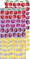 Дизайнерски елементи за изрязване "Tulip Love-Flowers", Craft o'Clock