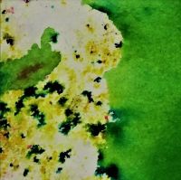 Сух пигмент Brusho Crystal - Leaf Green