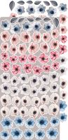 Дизайнерски елементи за изрязване "It's My Party-Flowers and more", Craft o'Clock